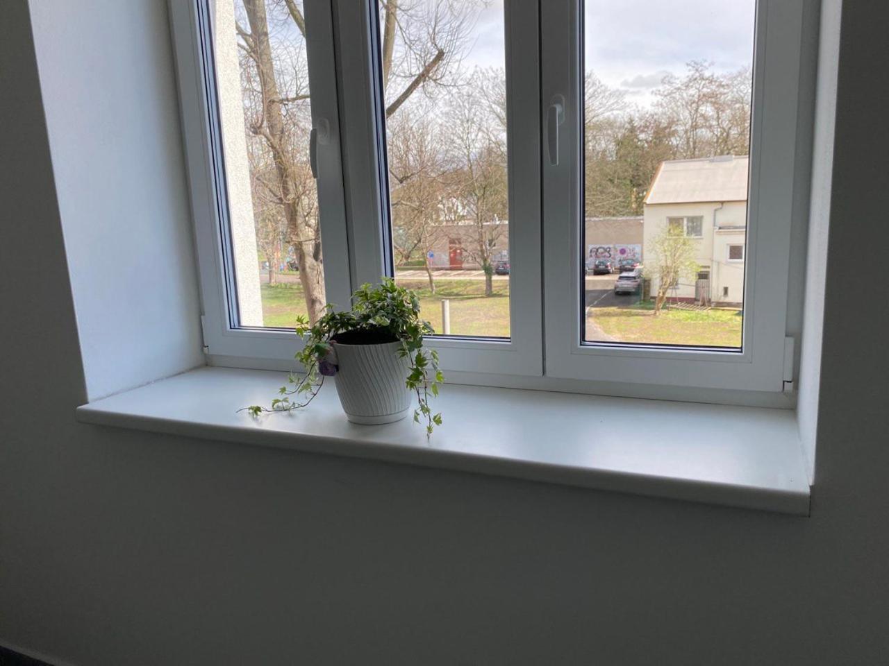 Apartmán Perla Hradce 303 *